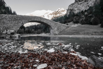 El puente y sus hojas